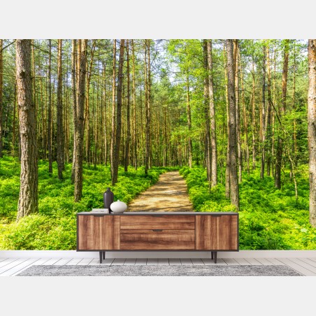 Fototapete sonniger waldweg zwischen kiefern – Wallnifity®