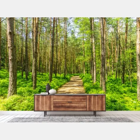 Fototapete sonniger waldweg zwischen kiefern – Wallnifity®
