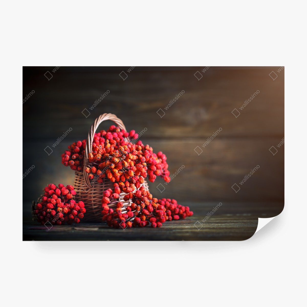 Fototapete herbstliche vogelbeeren im weidenkorb – Wallnifity®