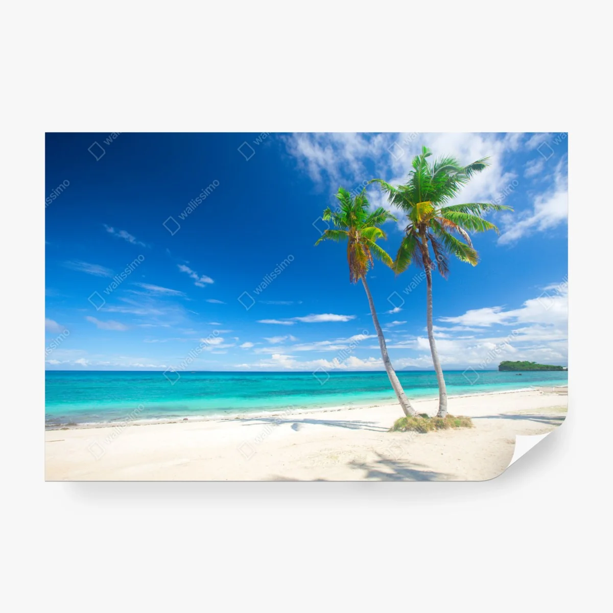 Fototapete tropische palmen an einem türkisfarbenen strand – Wallnifity®
