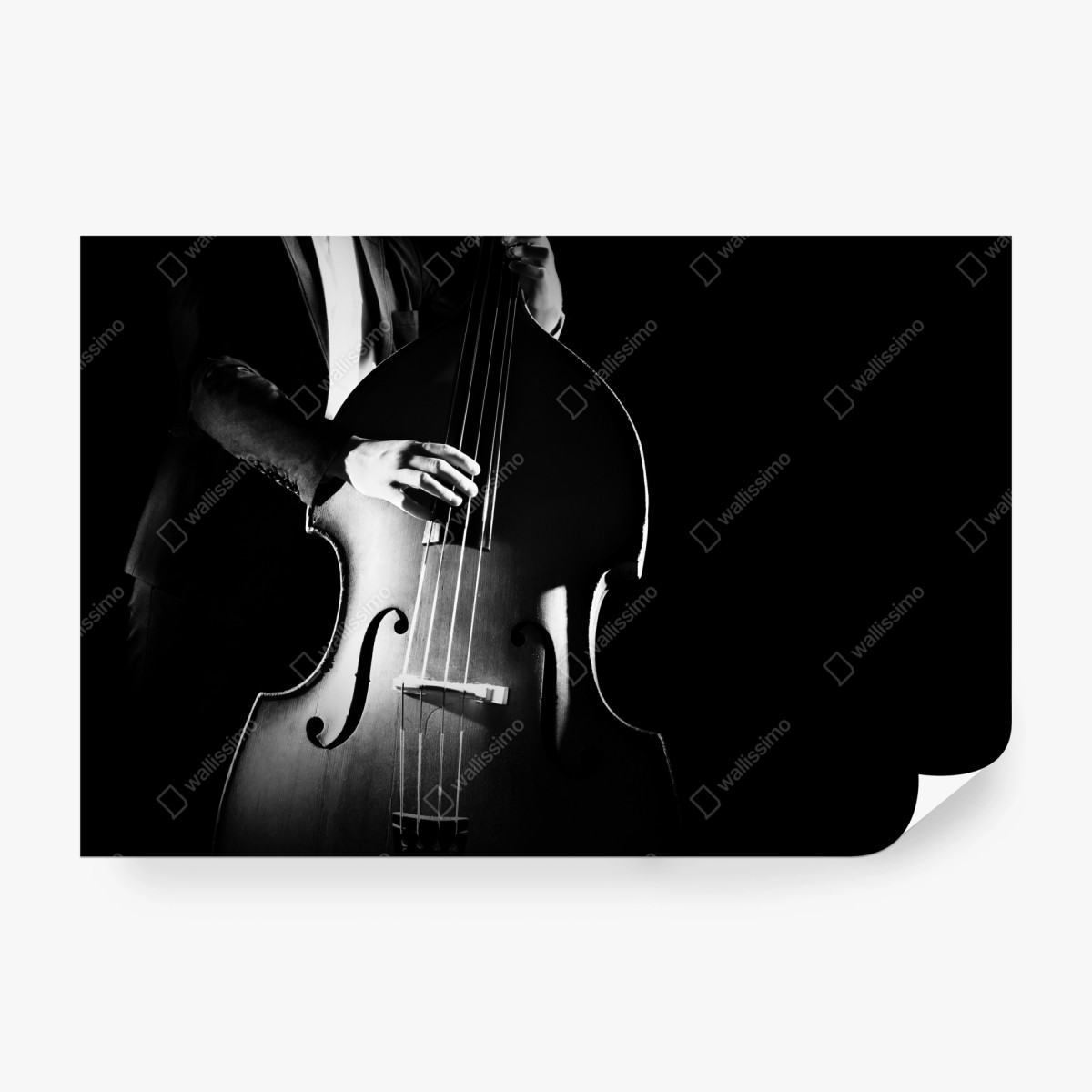 Fototapete kontrabassist im dramatischen licht – Wallnifity®