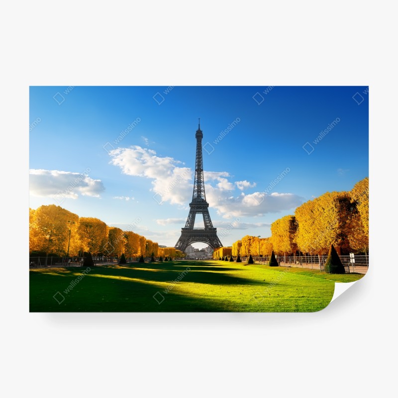 Fototapeten – Wallnifity®
