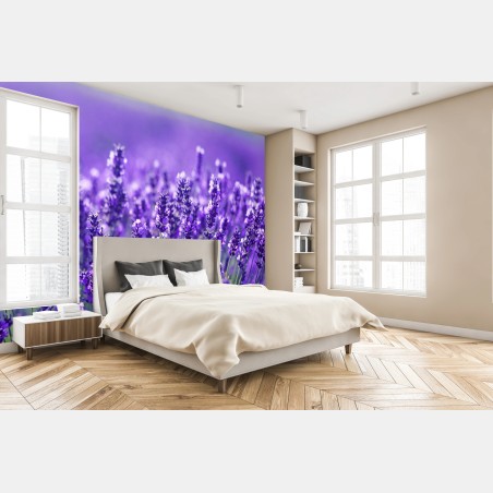 Fototapete lavendelfeld nahaufnahme – Wallnifity®