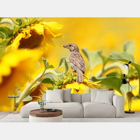 Fototapete spatz auf einer sonnenblume – Wallnifity®