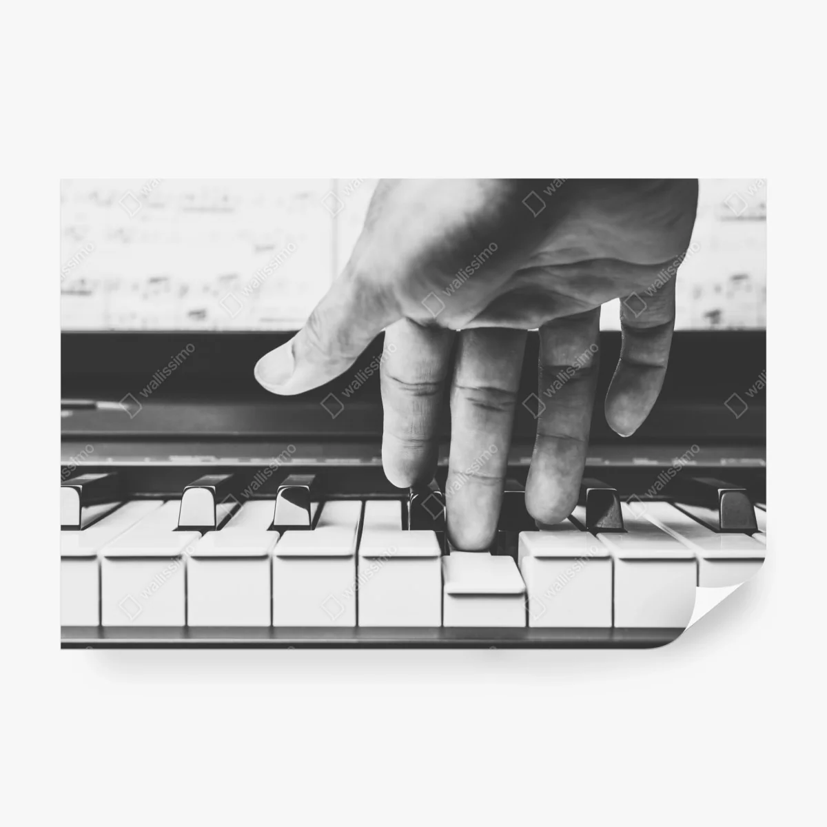 Fototapete hand auf klaviertasten – Wallnifity®