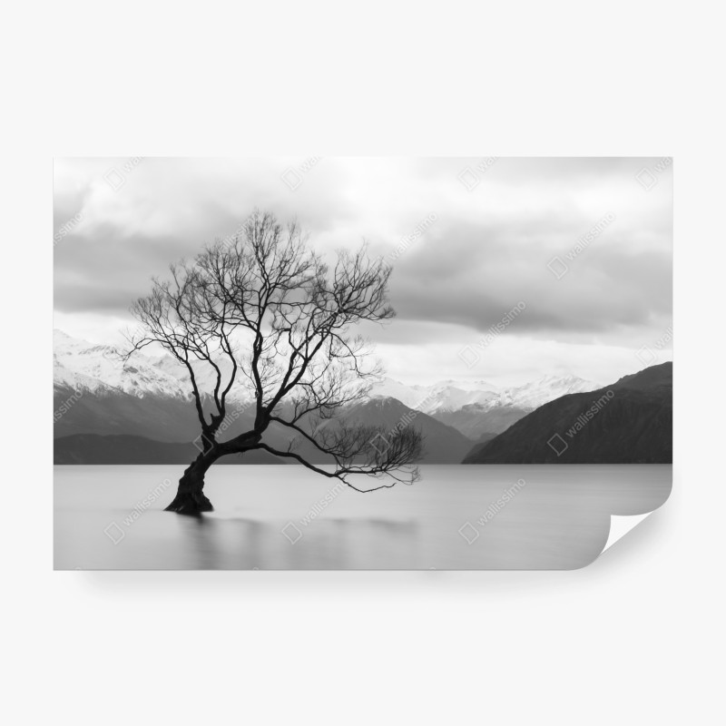 Natur – Wallnifity®