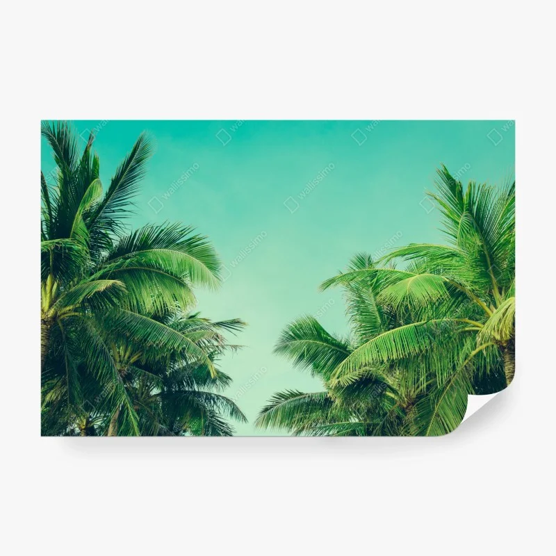 Natur – Wallnifity®