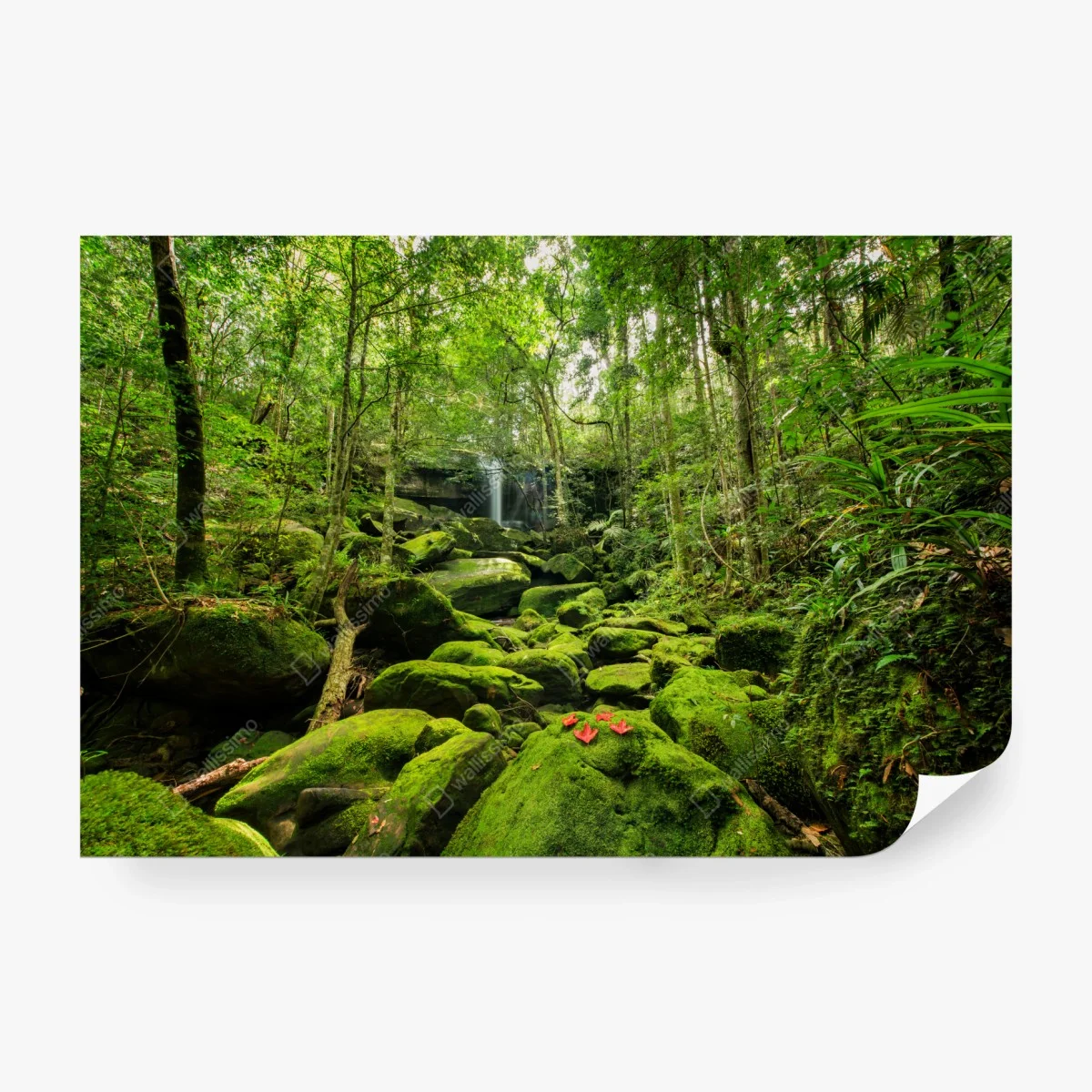 Fototapete üppiger moosbewachsener wasserfall im tropischen wald – Wallnifity®