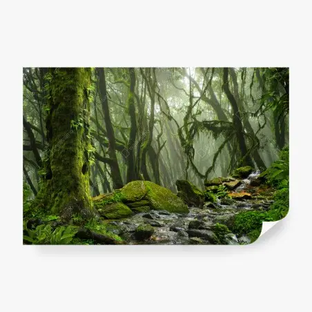 Fototapete moosiger wald mit bach im nebel – Wallnifity®