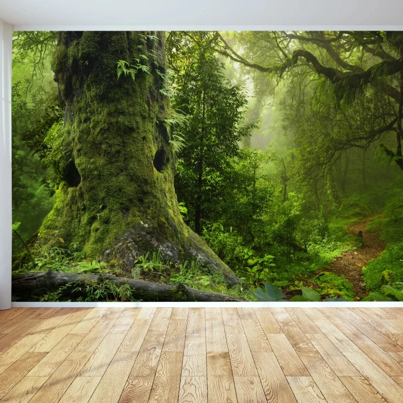 Wälder – Wallnifity®