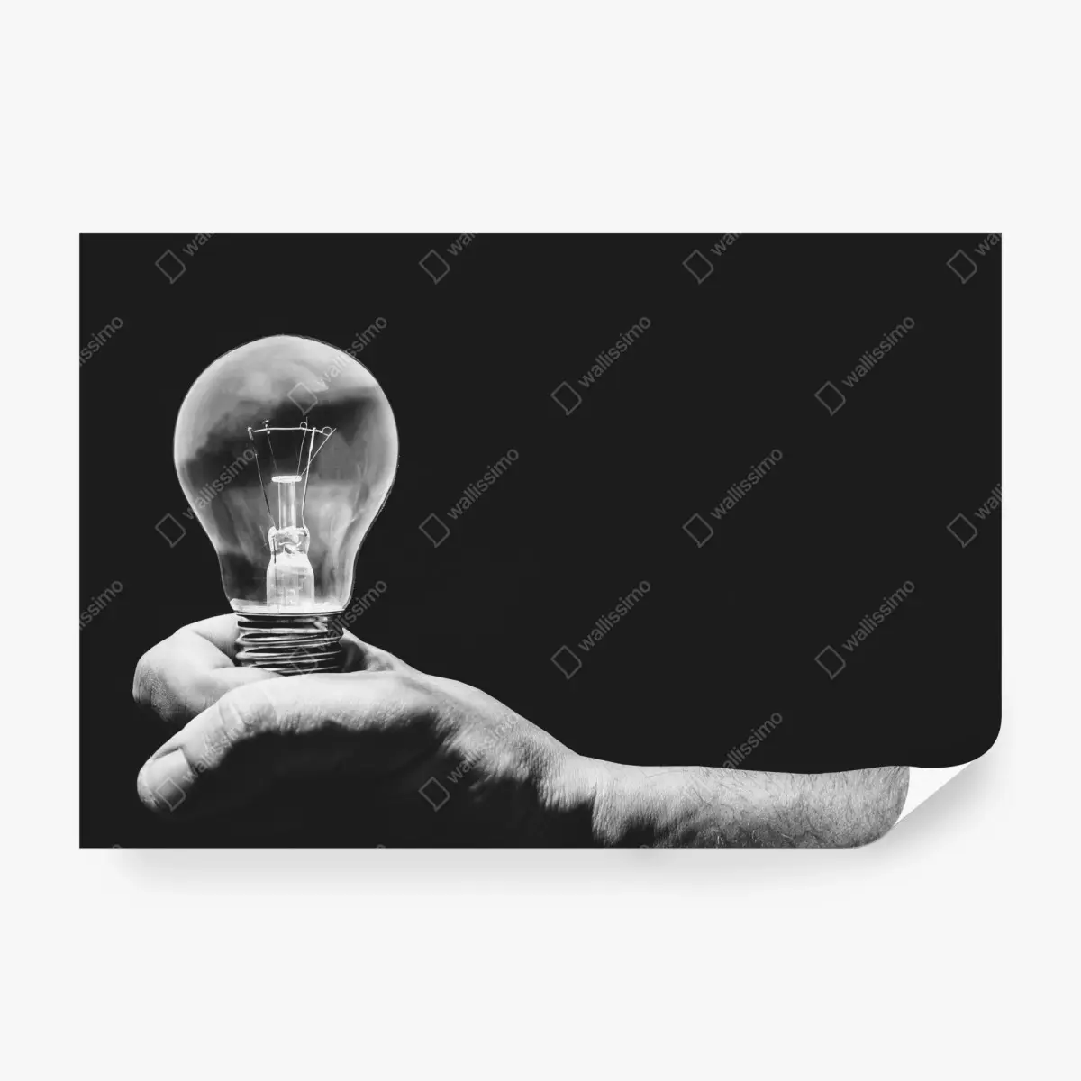 Fototapete monochrome hand hält glühbirne – Wallnifity® Fototapete monochrome hand hält glühbirne – Wallnifity®
