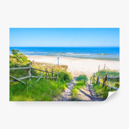 Fototapete weg zum strand der Ostsee – Wallnifity®