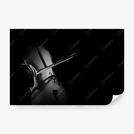 Fototapete elegantes cello in monochrom – Wallnifity®