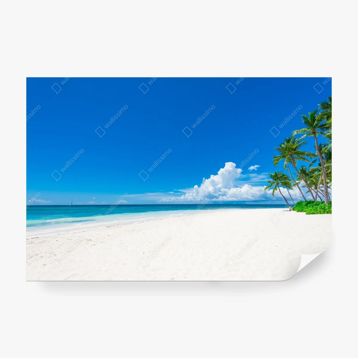 Fototapete tropischer strand mit palmen – Wallnifity® Fototapete tropischer strand mit palmen – Wallnifity®