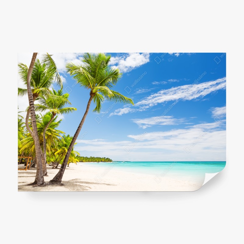 Natur – Wallnifity®