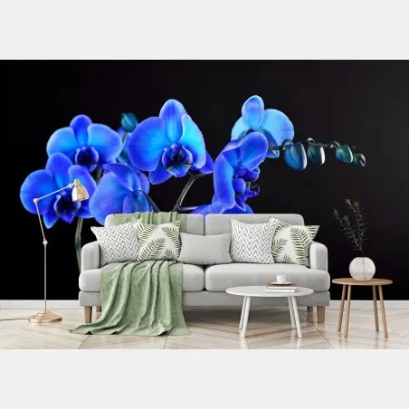 Fototapete leuchtende blaue orchidee vor schwarzem hintergrund – Wallnifity®