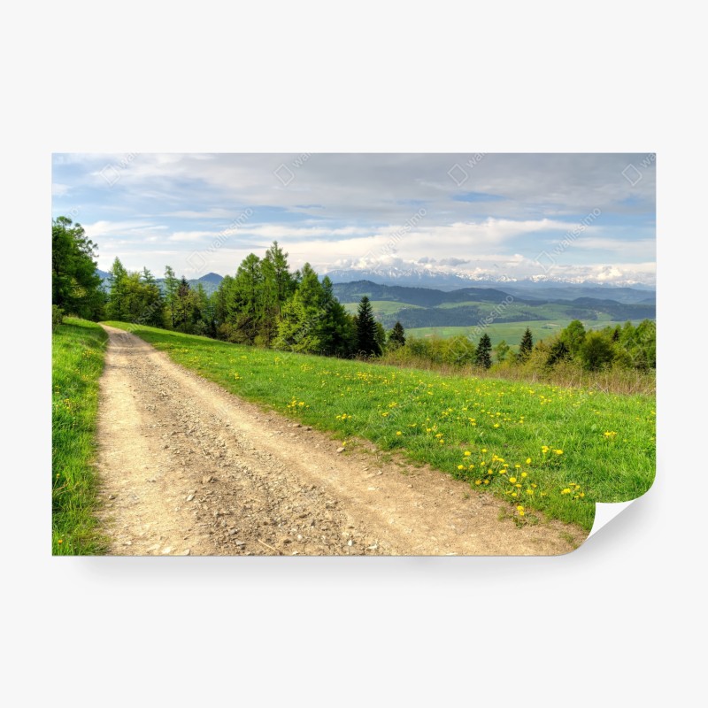 Berge – Wallnifity®