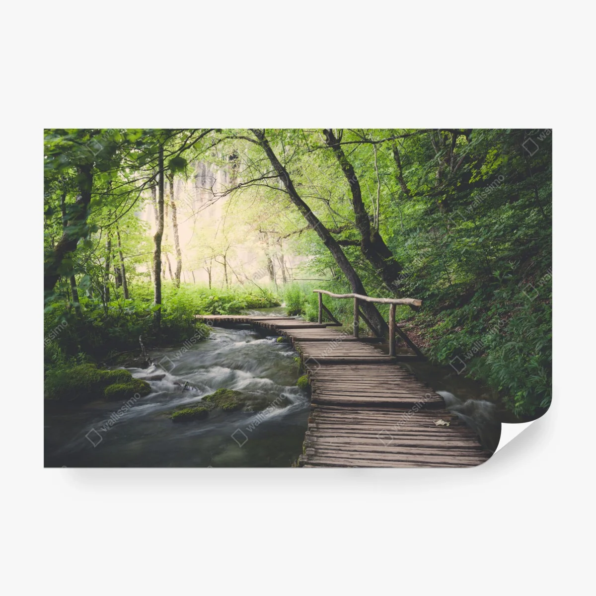 Fototapete ruhiger hölzerner steg durch grünen wald – Wallnifity®