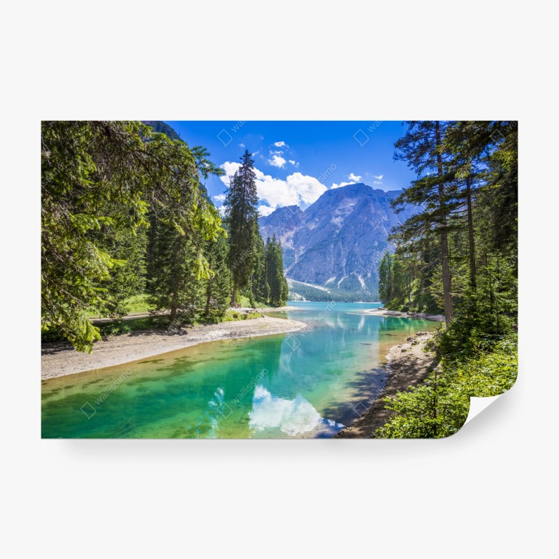 Natur – Wallnifity®