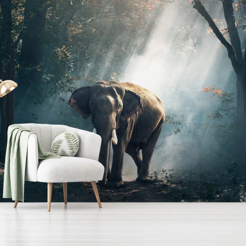 Tiere – Wallnifity®