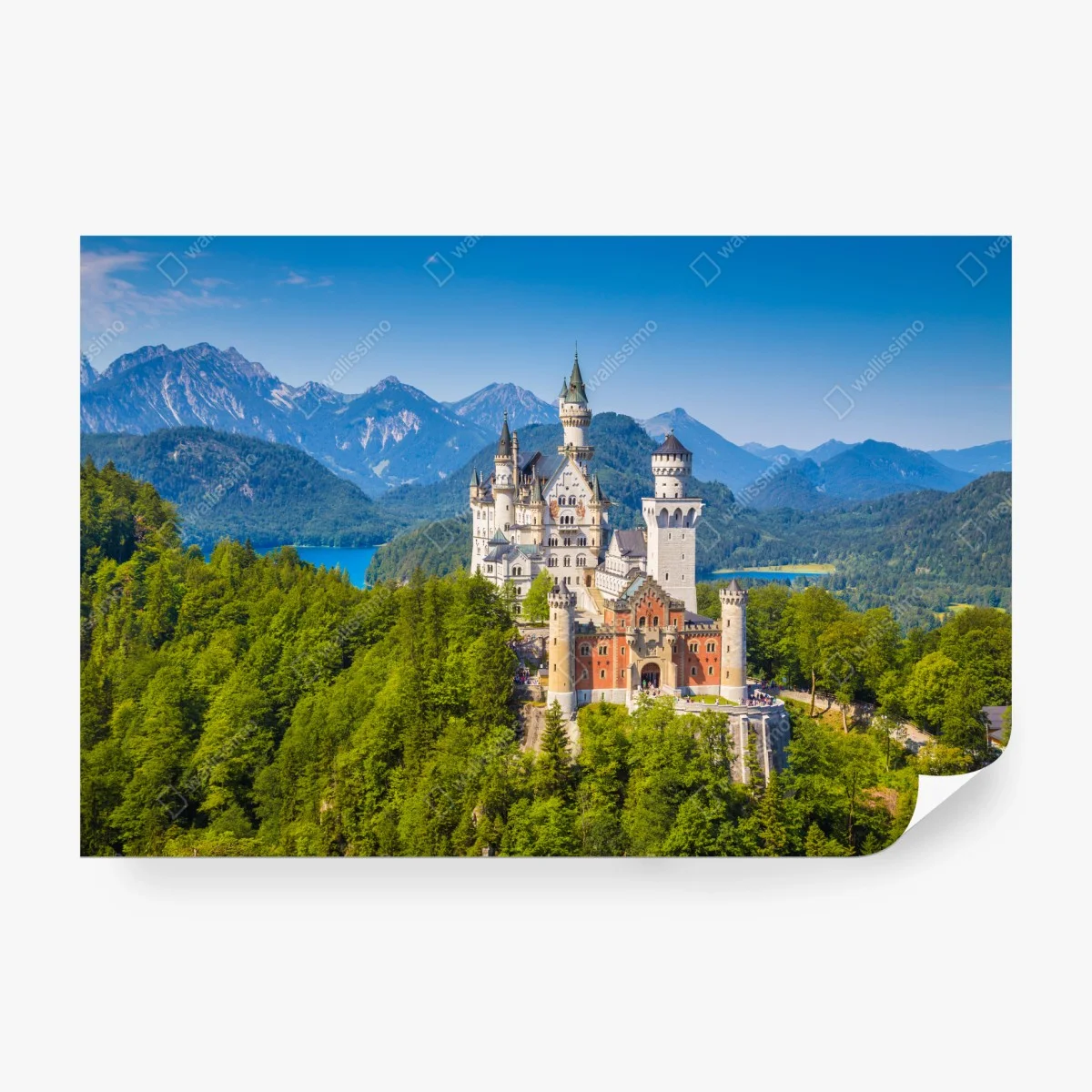 Fototapete schloss Neuschwanstein in alpiner landschaft – Wallnifity® Fototapete schloss Neuschwanstein in alpiner landschaft – Wallnifity®