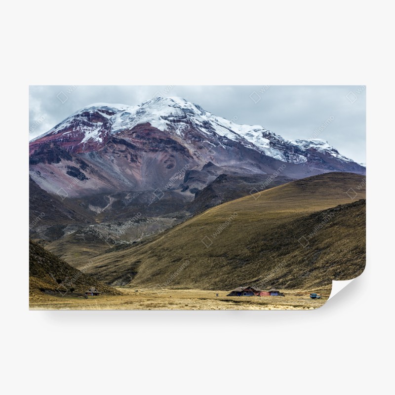 Fototapeten – Wallnifity®