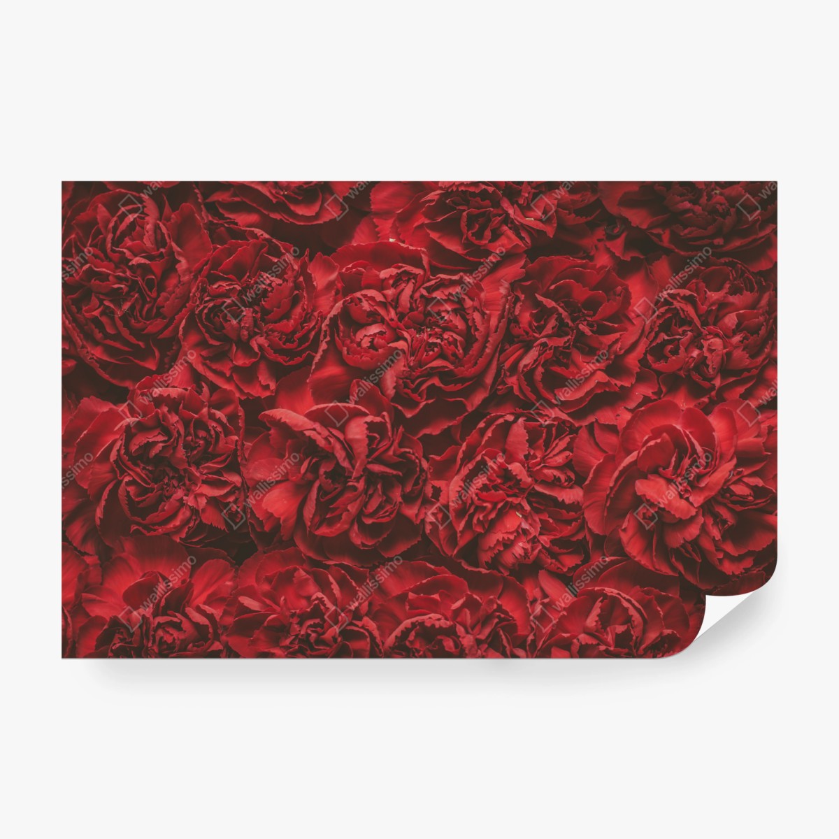 Fototapete vintage rote nelken blumenmuster – Wallnifity®