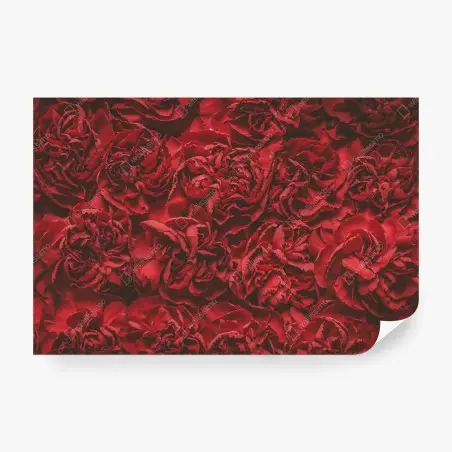 Fototapete vintage rote nelken blumenmuster – Wallnifity®