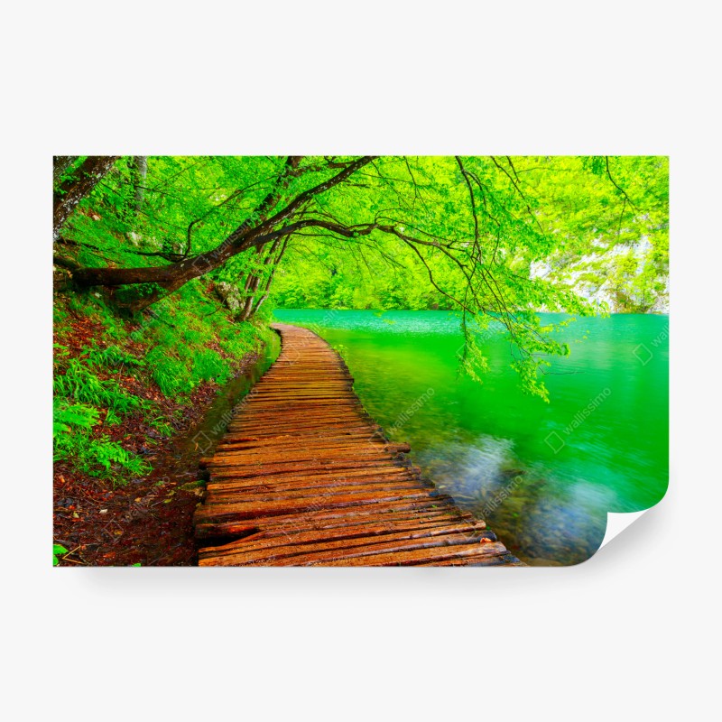 Fototapeten – Wallnifity®