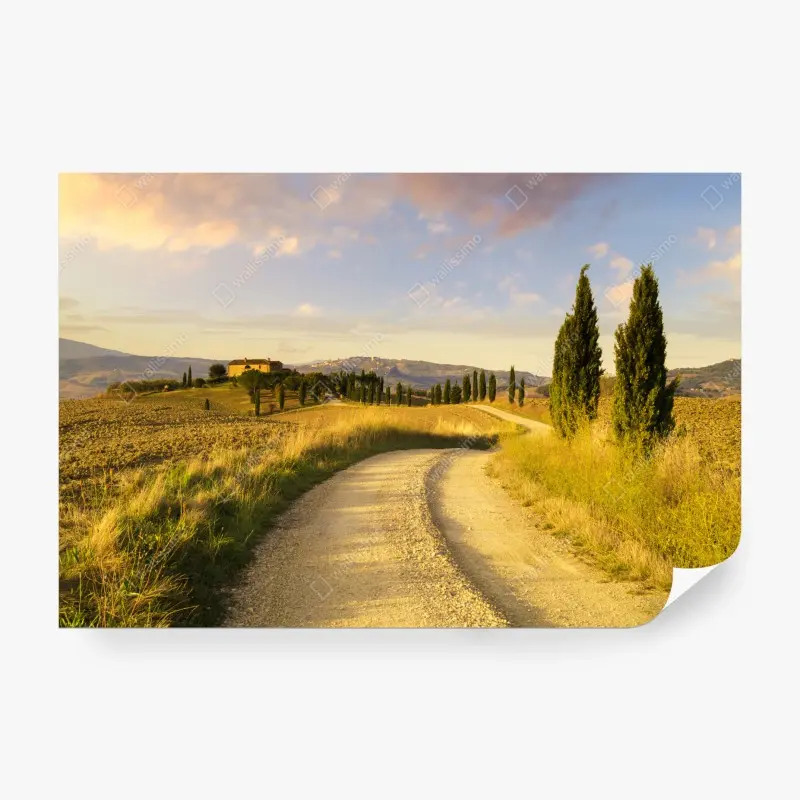 Landschaften – Wallnifity®