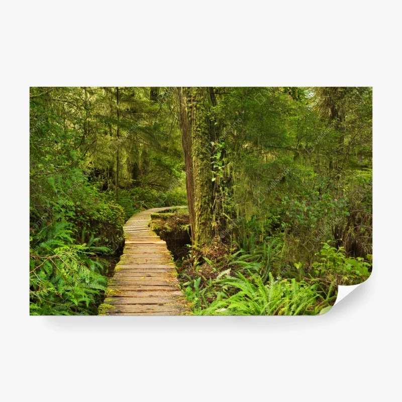 Wälder – Wallnifity®