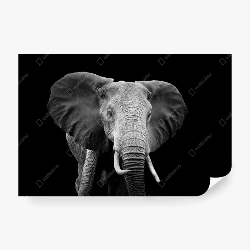 Wohnzimmer – Wallnifity®