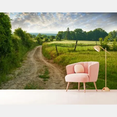 Fototapete sonniger landweg durch grüne wiesen – Wallnifity®