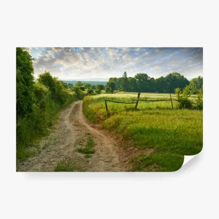 Fototapete sonniger landweg durch grüne wiesen – Wallnifity®