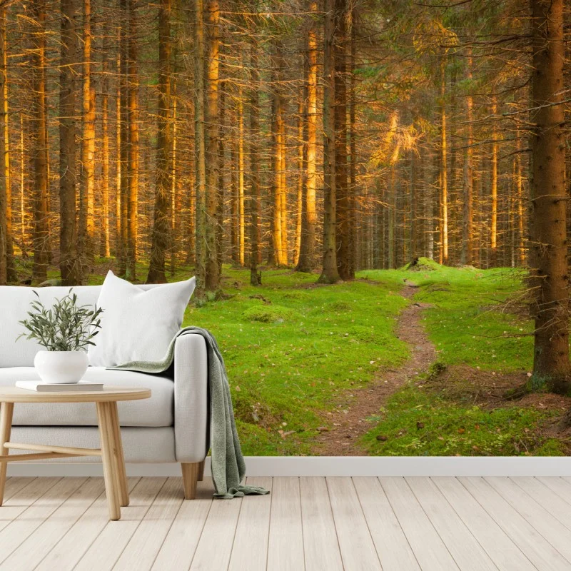 Wälder – Wallnifity®