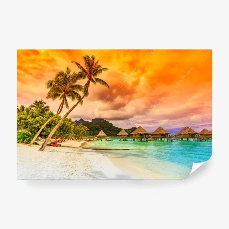 Strand – Wallnifity®