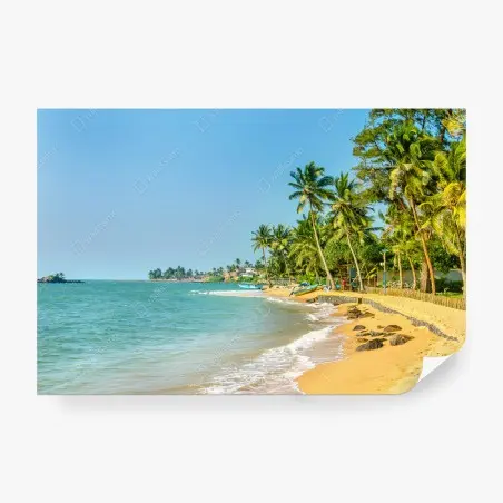 Fototapete tropischer palmenstrand – Wallnifity®