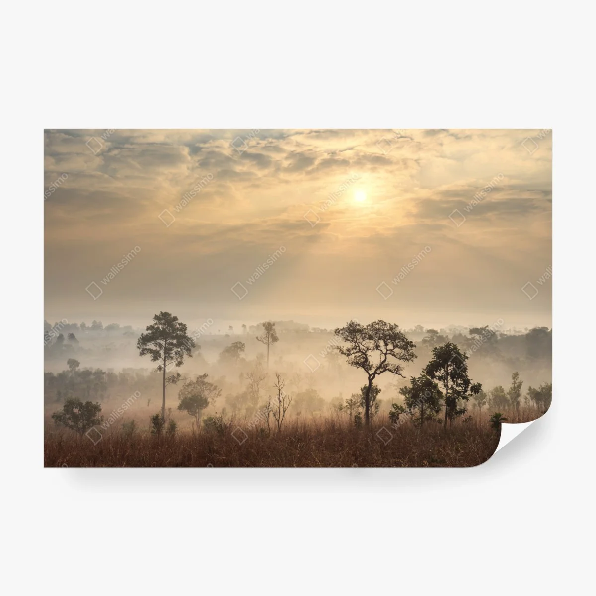 Fototapete Thailand sawanne bei sonnenaufgang – Wallnifity®