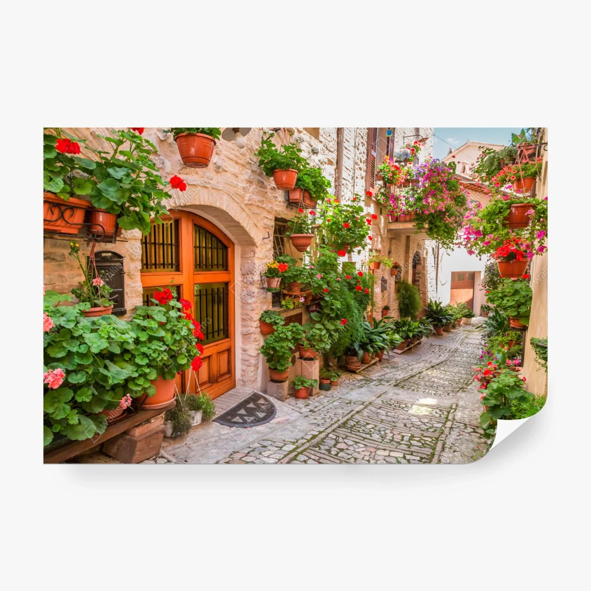 Fototapete sonnige gasse in Italien mit blühenden töpfen – Wallnifity®