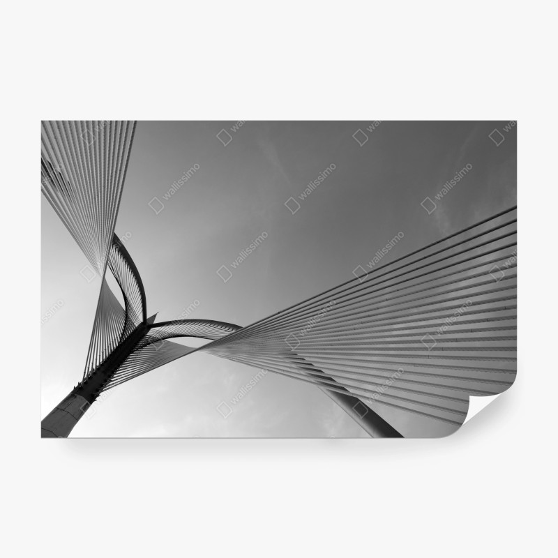 Architektur – Wallnifity®