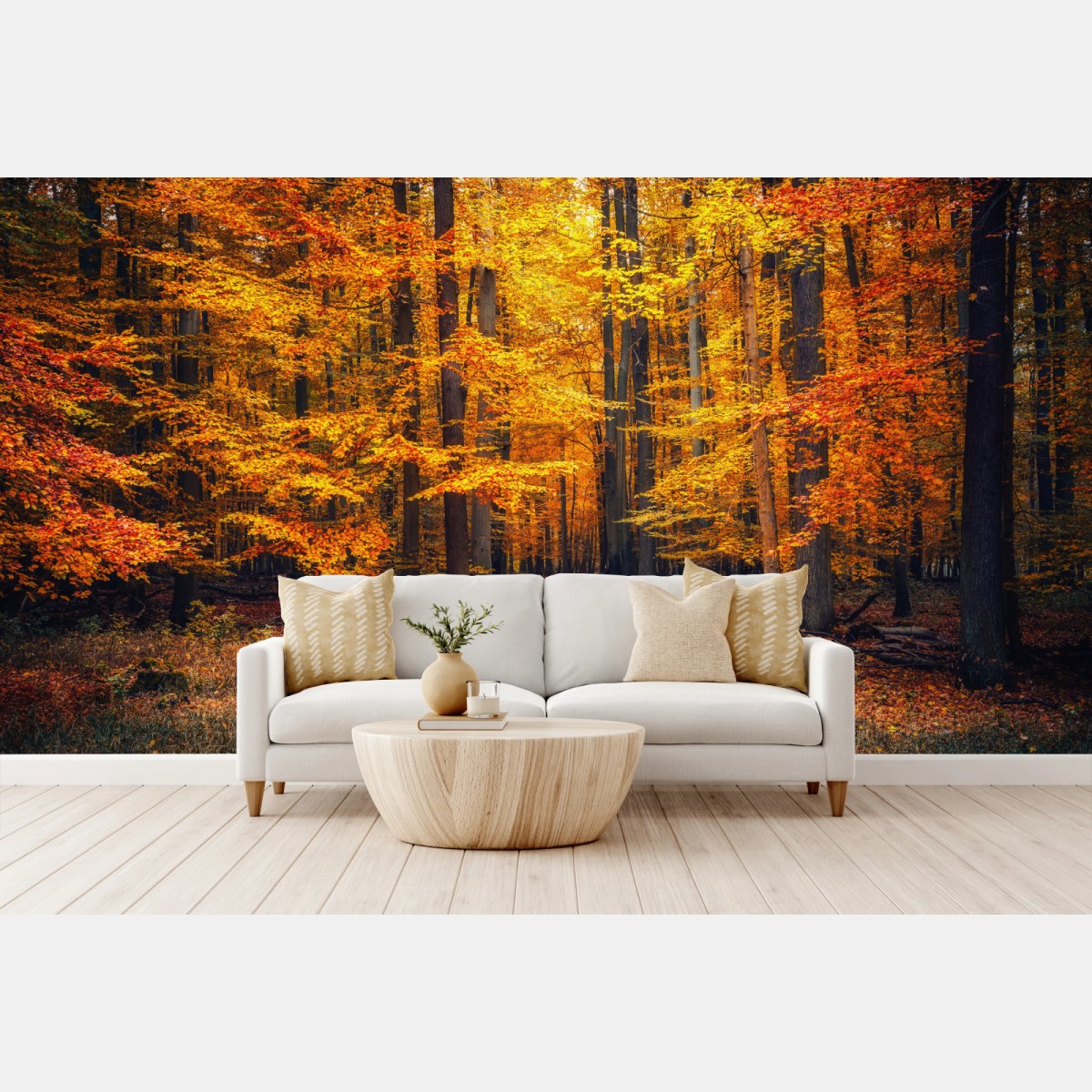 Fototapete herbstlicher waldpfad mit goldenen blättern – Wallnifity®