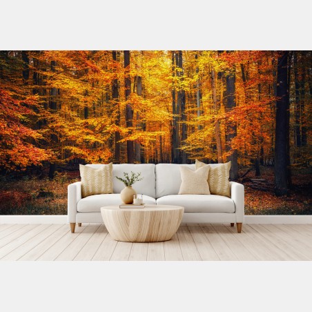 Fototapete herbstlicher waldpfad mit goldenen blättern – Wallnifity®