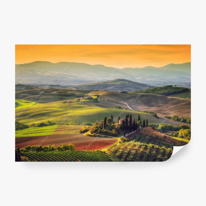 Landschaften – Wallnifity®