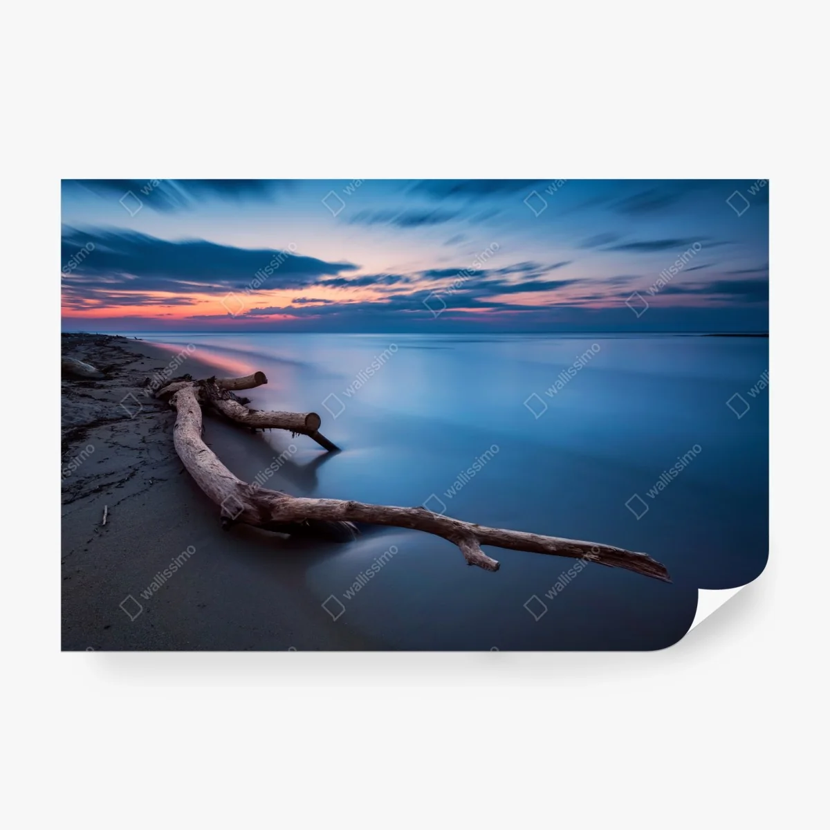 Fototapete treibholz bei dämmerung am ruhigen strand – Wallnifity®