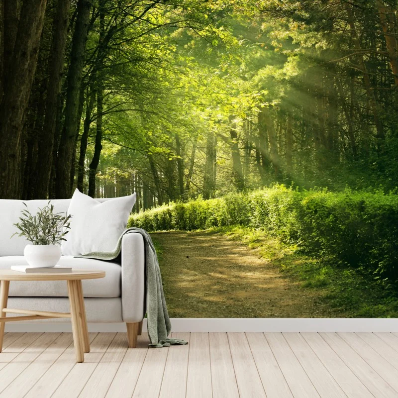 Wälder – Wallnifity®