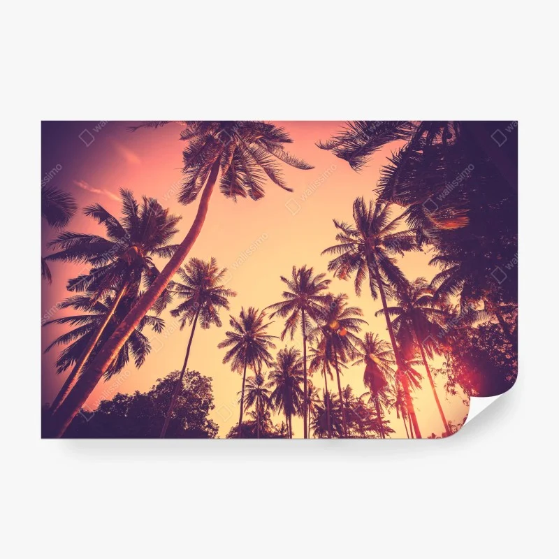 Fototapete vintage tropischer sonnenuntergang mit palmen – Wallnifity®