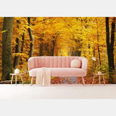 Fototapete goldener herbstwald pfad – Wallnifity®