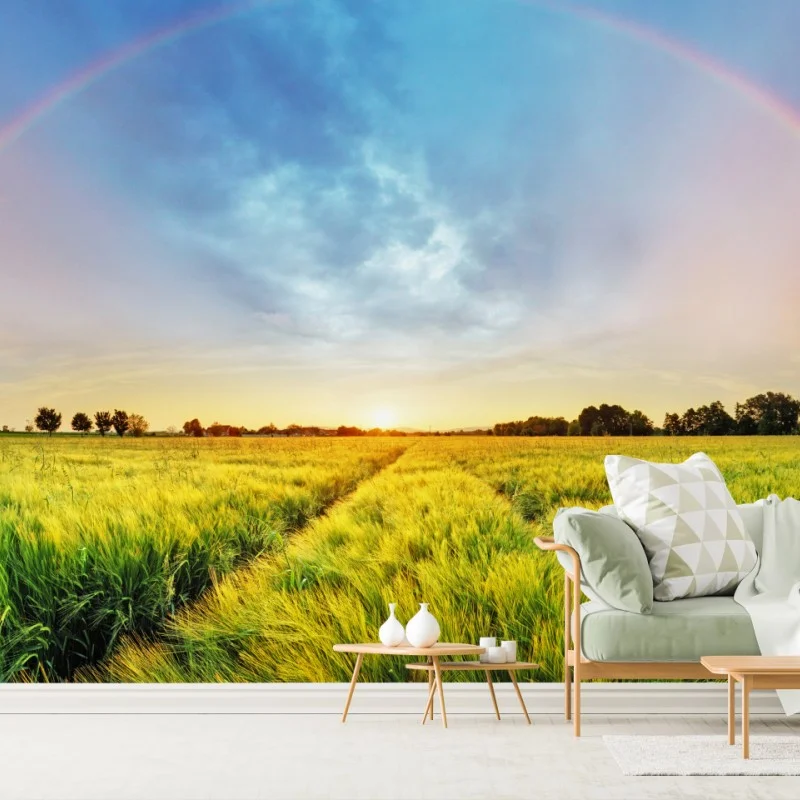 Wiesen – Wallnifity®