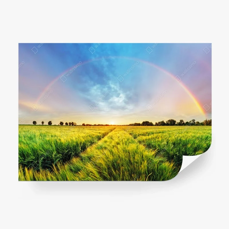 Fototapete sonnige grüne wiese unter blauem himmel – Wallnifity®