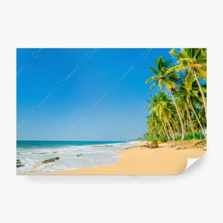 Fototapete tropischer palmenstrand – Wallnifity®